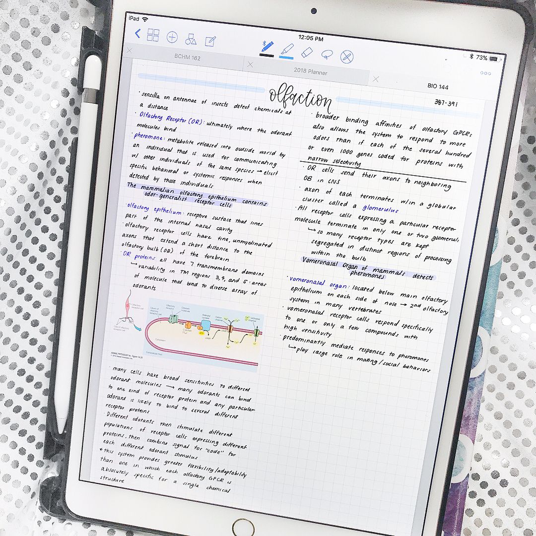 Ipad Apps To Mac Notability